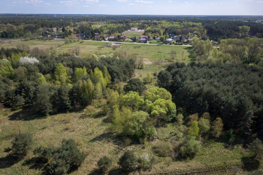 powiat legionowski, Skrzeszew, Olszankowa, Działki z pozwoleniem na budowę koło Legionowa