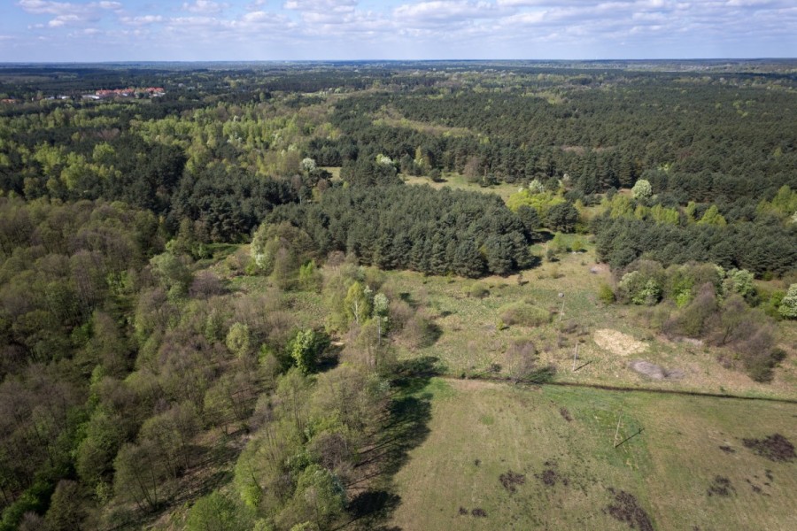 powiat legionowski, Skrzeszew, Olszankowa, Działki z pozwoleniem na budowę koło Legionowa