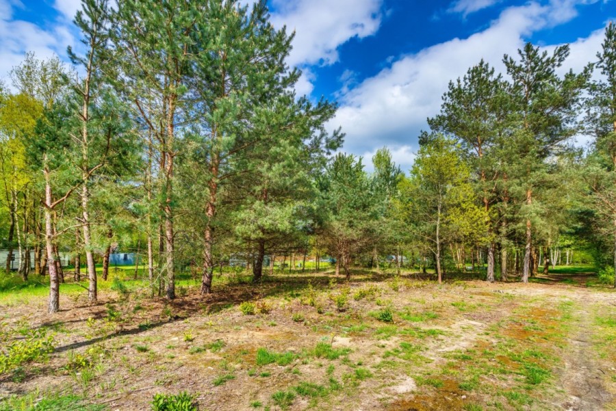 powiat wołomiński, Borki, Czeremchowa, działka budowlana - Natura, rzeka, zalew