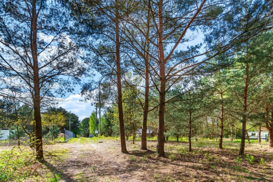 powiat wołomiński, Borki, Czeremchowa, działka budowlana - Natura, rzeka, zalew