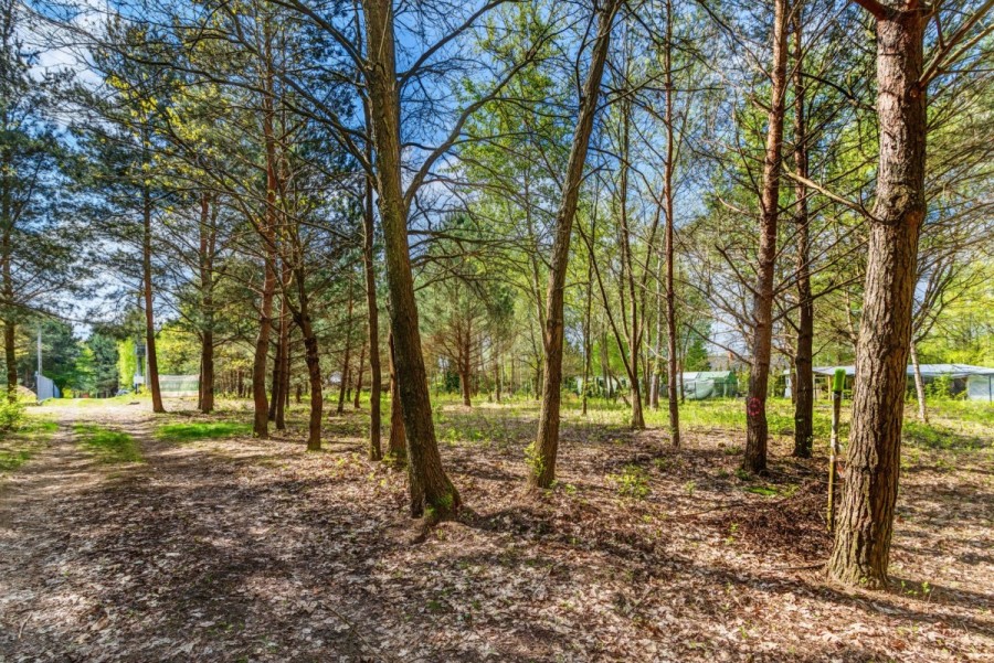 powiat wołomiński, Borki, Czeremchowa, działka budowlana - Natura, rzeka, zalew