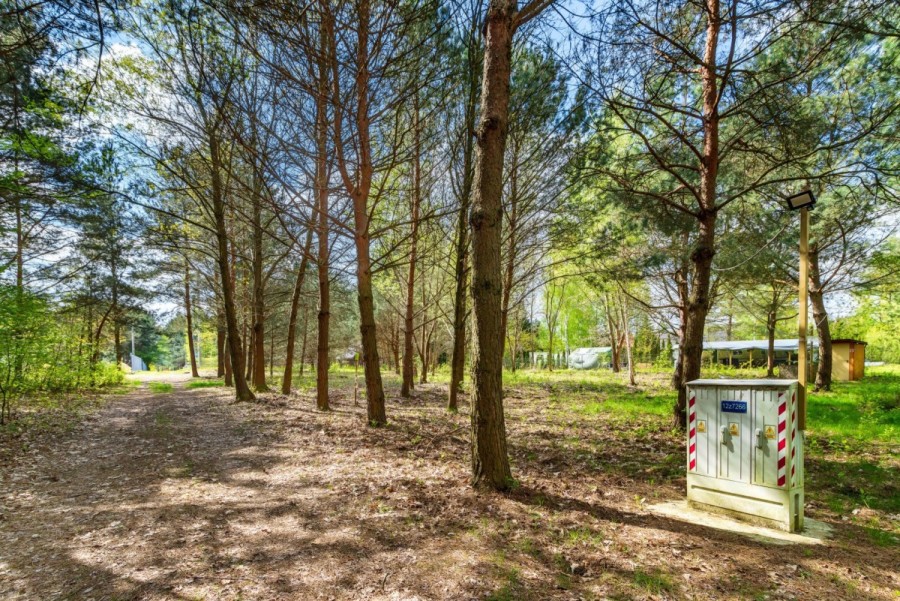 powiat wołomiński, Borki, Czeremchowa, działka budowlana - Natura, rzeka, zalew