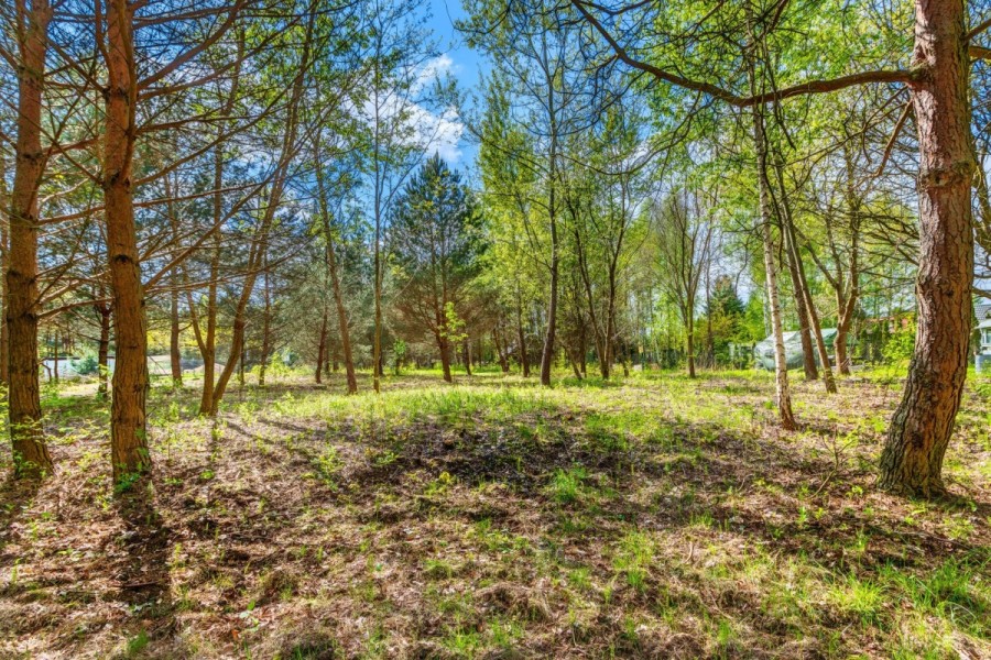 powiat wołomiński, Borki, Czeremchowa, działka budowlana - Natura, rzeka, zalew