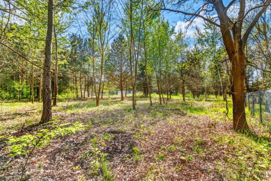 powiat wołomiński, Borki, Czeremchowa, działka budowlana - Natura, rzeka, zalew