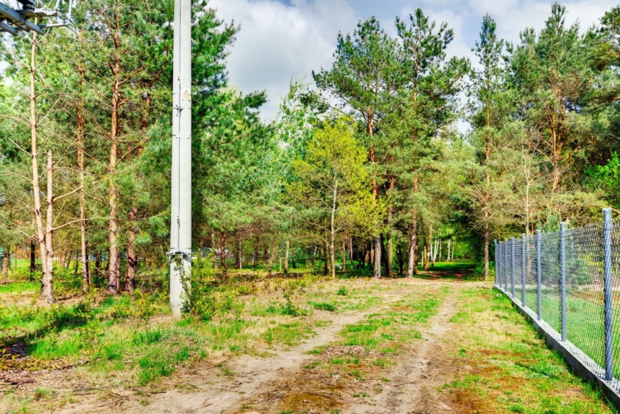 powiat wołomiński, Borki, Czeremchowa, działka budowlana - Natura, rzeka, zalew