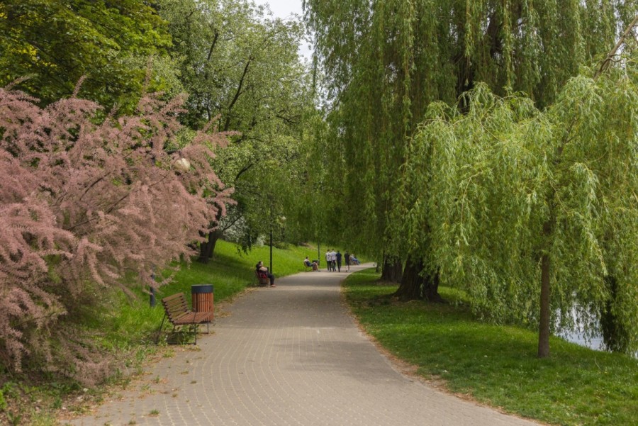 powiat Warszawa, Warszawa, Obozowa, Kawalerka I Obozowa I Wola I Park I Tramwaj