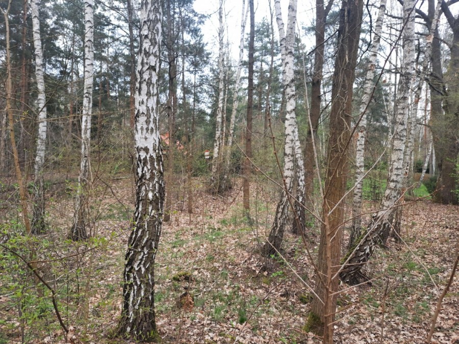 powiat legionowski, Komornica, Działka budowlana blisko do Zalewu Zegrzyńskiego